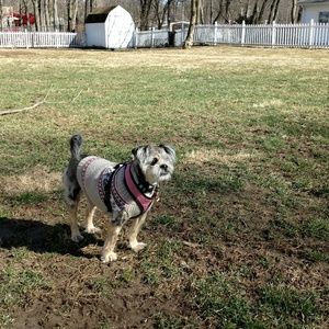 Meet your Posher, Rachel